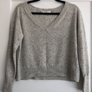 Everlane V-Neck Cashmere Crop Sweater